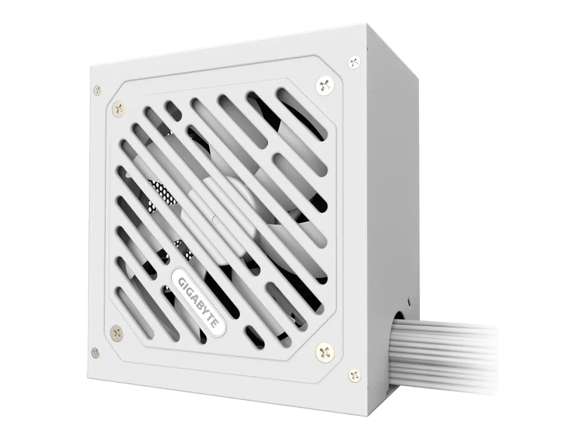 Gigabyte P650SS ICE - Netzteil (intern) - ATX12V GP-P650SS ICE