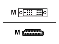 Sharkoon - Adapterkabel - Single Link - HDMI männlich zu DVI-D männlich - 1 m - Schwarz