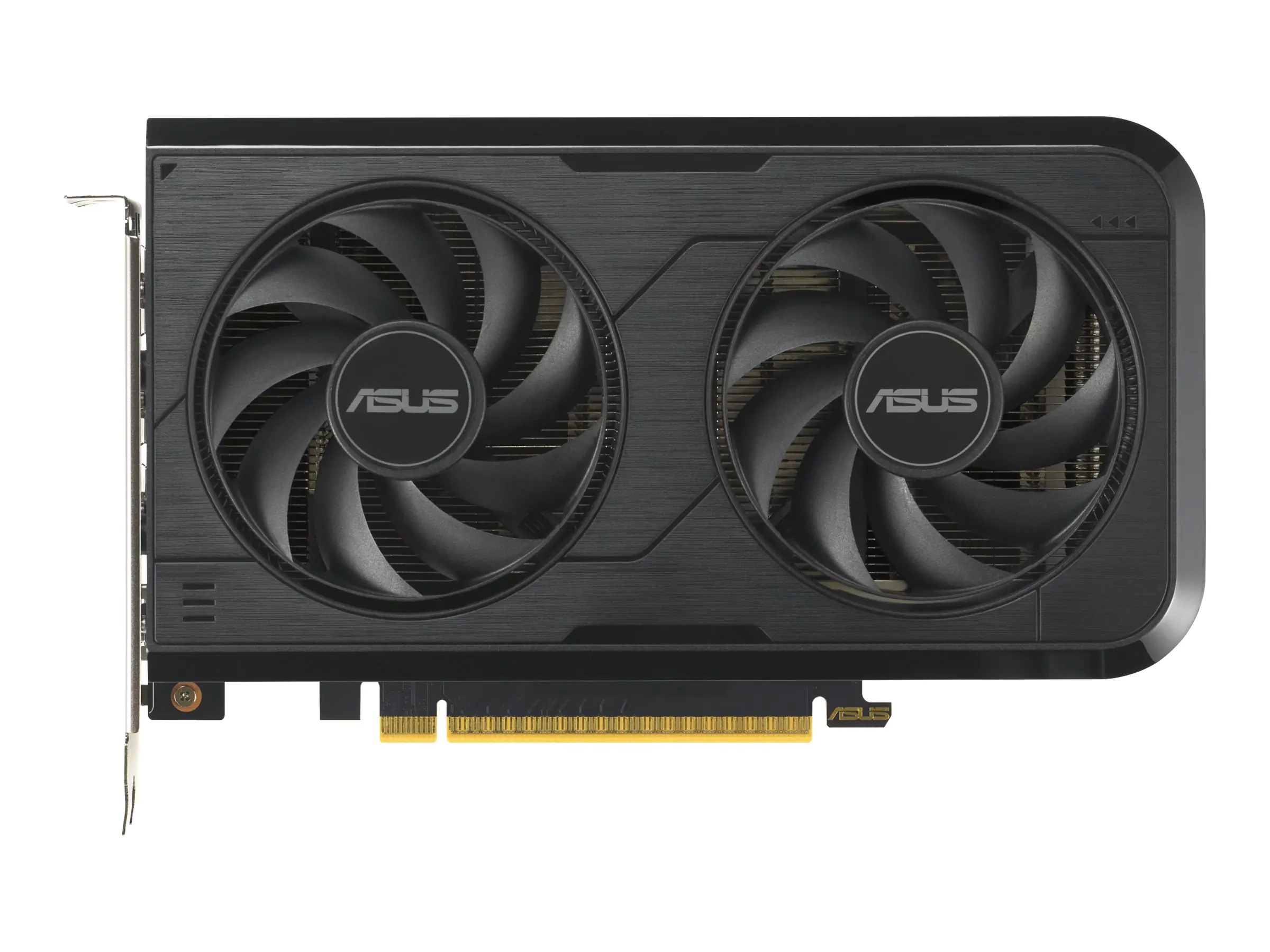 ASUS GeForce RTX 5050 Dual OC - Grafikkarte - PCI-Express