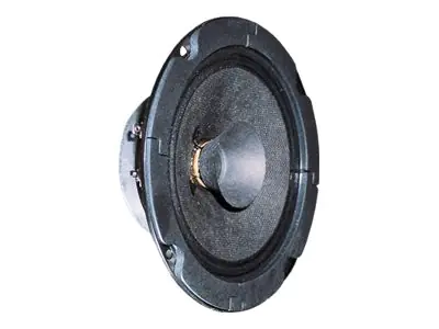 VISATON BG 13 P - Lautsprechertreiber - 20 Watt