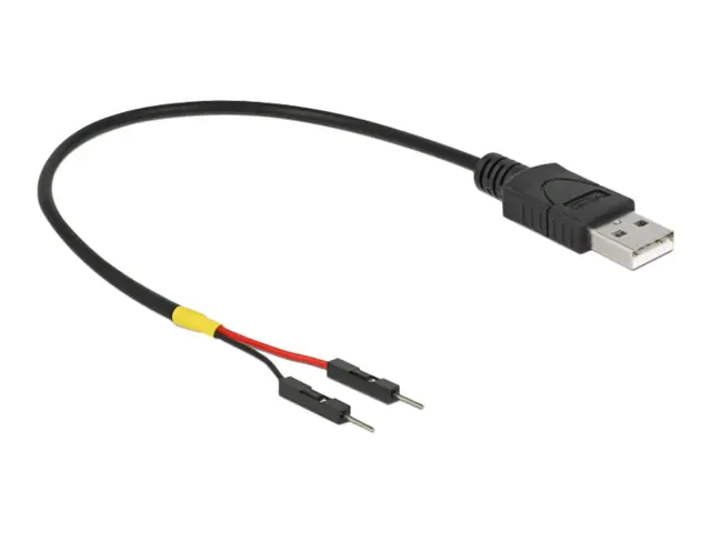 Delock - USB- / Stromkabel - USB (M) zu 2-poliger USB-Header (M) getrennt - 20 cm - Schwarz