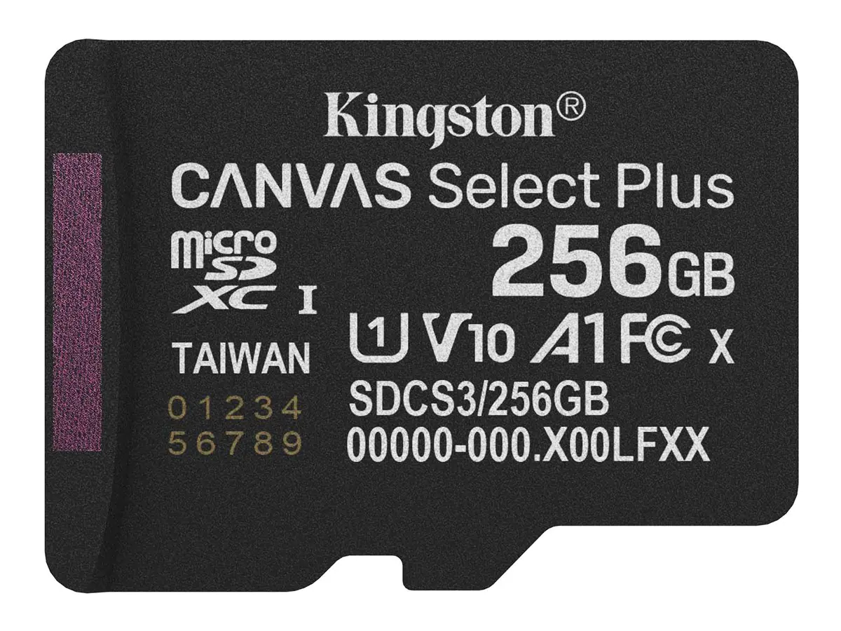 Kingston Canvas Select Plus - Flash-Speicherkarte SDCS3/256GBSP