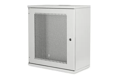 Digitus Professional DN-19-12U-S-PD - Gehäuse - geeignet für Wandmontage - RAL 7035, Hellgrau - 12U - 48.3 cm (19")