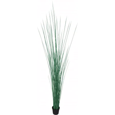 Kunstpflanze Seegras Höhe 1550mm Kunststofftopf Kunstpflanze Seegras Höhe 1550mm Kunststofftopf