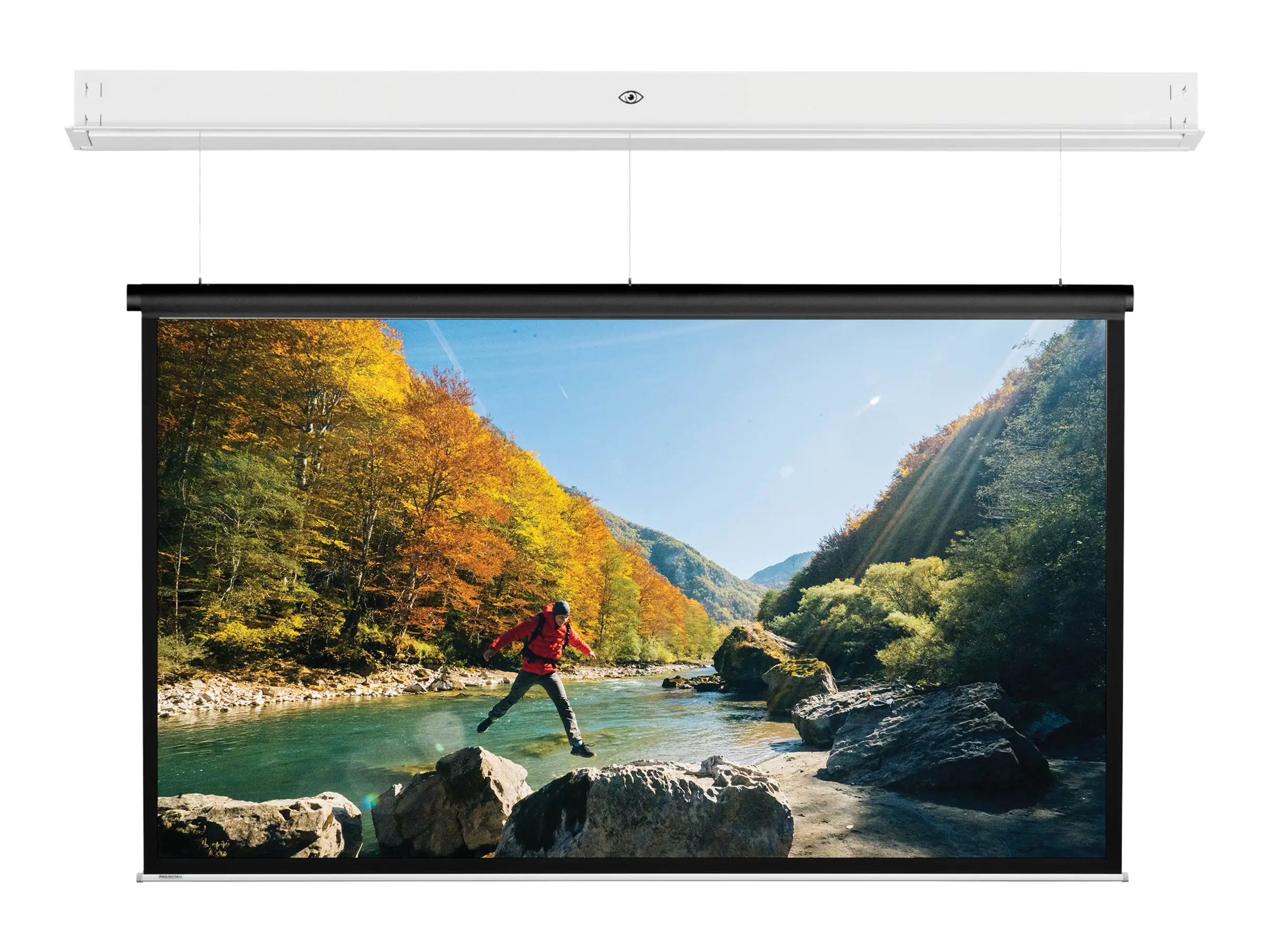 Projecta DescenderPro - Leinwand - Deckenmontage - motorisiert - 230 V - 356 cm (140")