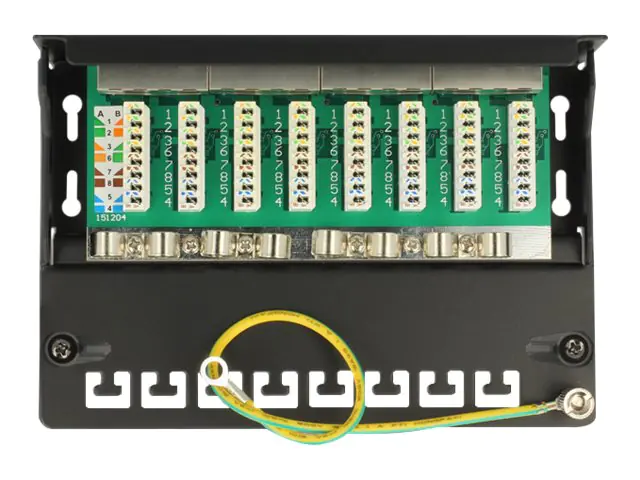Delock - Patch Panel - geeignet für Wandmontage - CAT 6a - RJ-45 X 8 - Hellgrau, RAL 7035