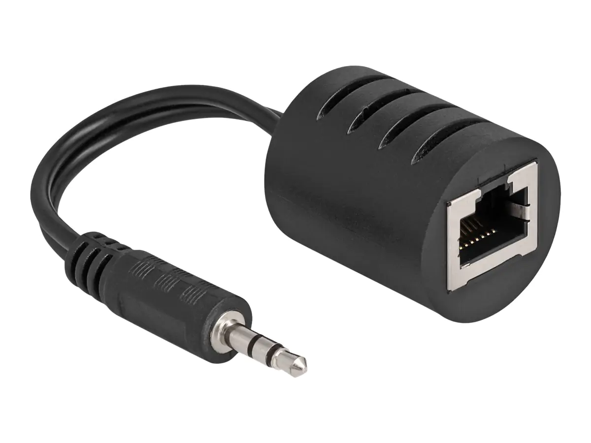 Delock - Audio-Adapter - RJ-45 weiblich zu Mini-Stecker männlich - Schwarz (Packung mit 2)