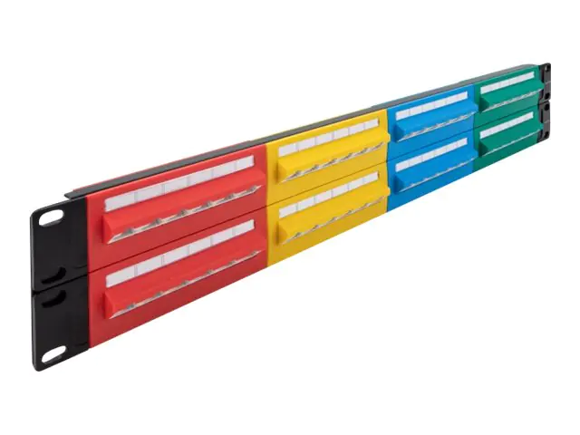 Delock Patch Panel - Schrankmontage - CAT 5e - RJ-45 X 48 - Blau, Gelb, Rot, grün - 2U - 48.3 cm