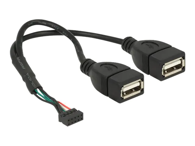 Delock - USB-Kabel intern auf extern - 10-poliger USB-Header (W) bis USB (W) - 20 cm - Schwarz