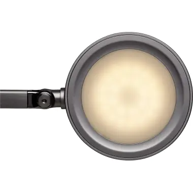 MAUL Tischleuchte MAULgrace colour vario 8205090 LED 6W schwarz