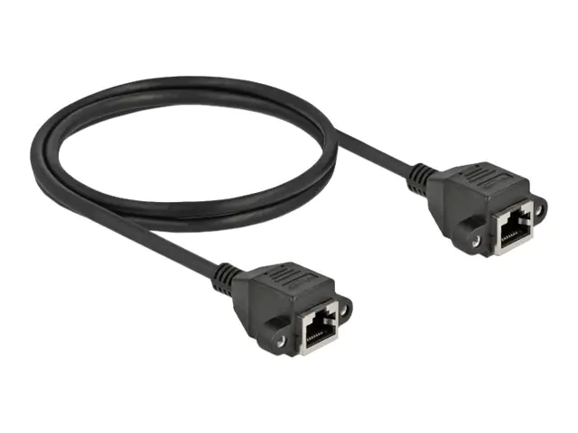 Delock - Netzwerkverlängerungskabel - RJ-45 (W) zu RJ-45 (W) - 1 m - S/FTP - CAT 6a - halogenfrei - Schwarz