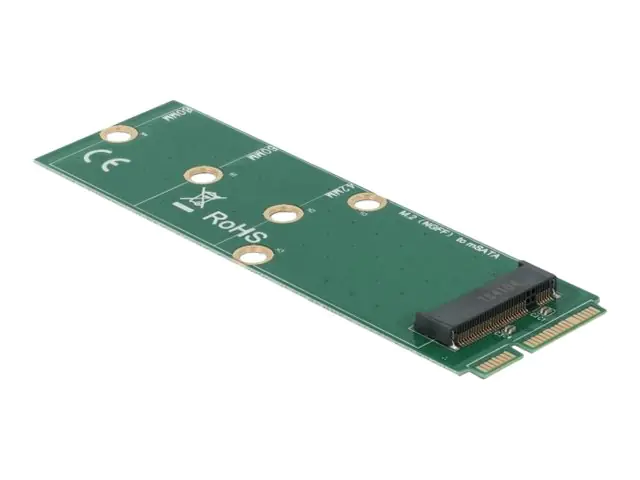 Delock Schnittstellenadapter - M.2 - M.2 Card 64109