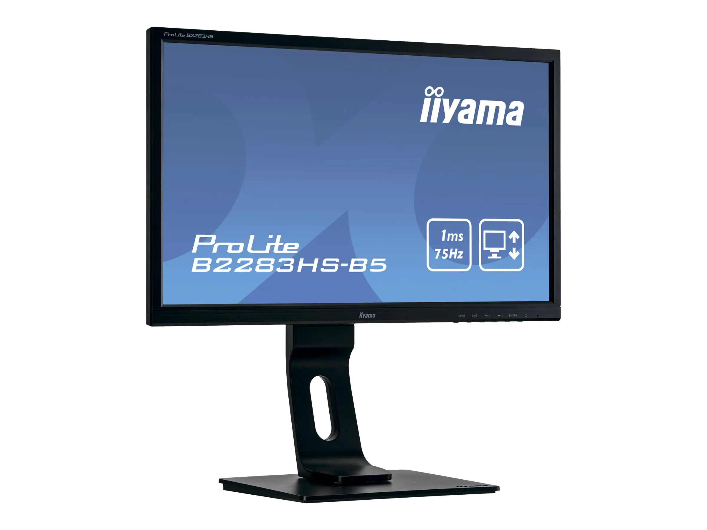 Iiyama ProLite - LED-Monitor - 55.9 cm (22") 1920 x 1080 Full HD (1080p) @ 75 Hz - B2283HS-B5