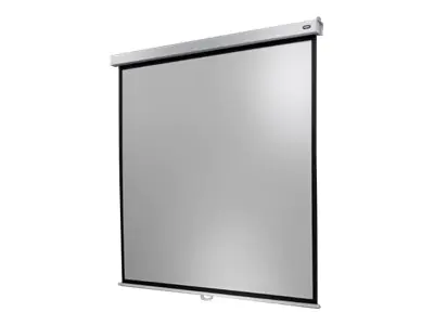 celexon Manual Professional Plus Square format - Leinwand - Deckenmontage möglich, geeignet für