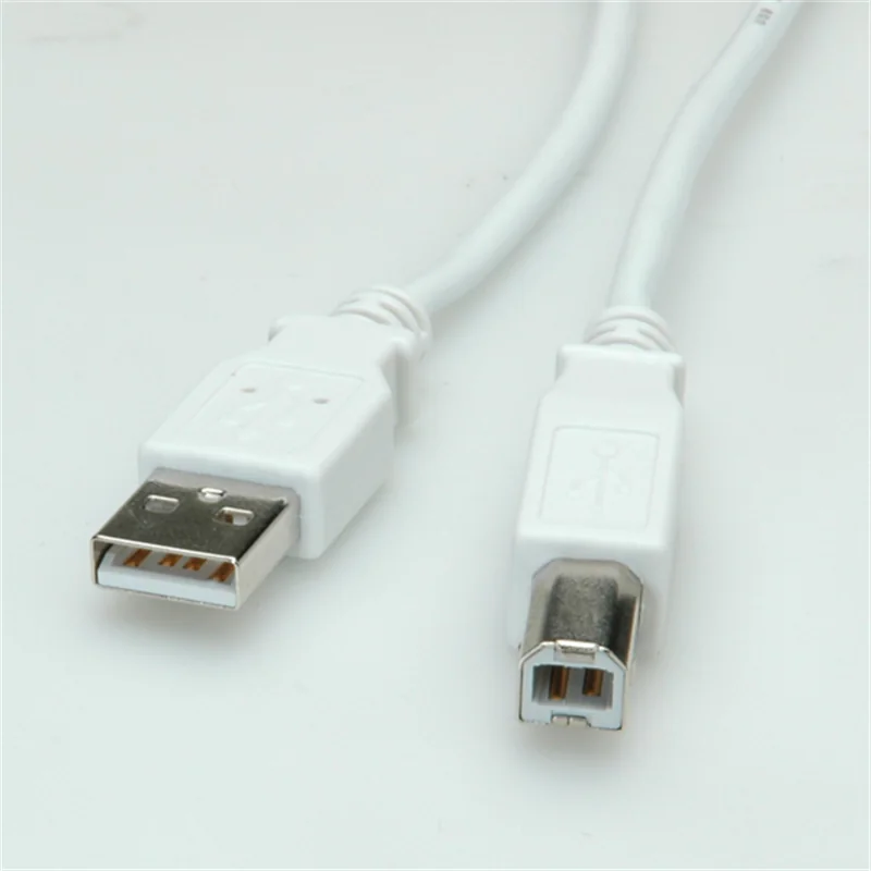 VALUE - USB-Kabel - USB (M) zu USB Typ B (M) - USB 2.0 - 1.8 m - weiß VALUE - USB-Kabel - USB (M) zu USB Typ B (M) - USB 2.0 - 1.8 m - weiß