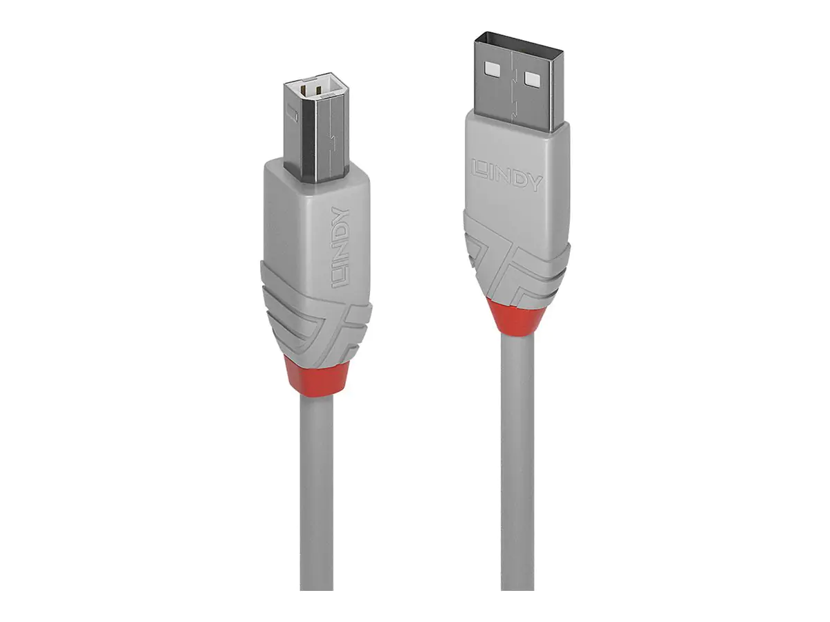 Lindy Anthra Line - USB-Kabel - USB (M) zu USB Typ B (M) 36683