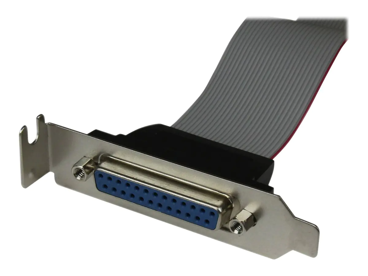 StarTech Low Profile IDC 26 (Buchse) auf DB25 (Buchse) Slotblech 40cm - Mainboard Header ICD26 auf Parallel Port DB25 Bracket - Parallelport - DB-25 (W) zu IDC 26-polig (W) - 40.64 cm - Grau