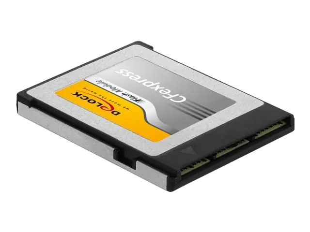 Delock Flash-Speicherkarte - 256 GB - CFexpress 54066
