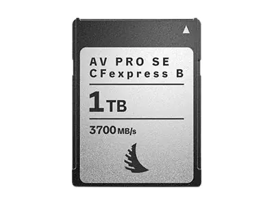 Angelbird AVpro SE - Flash-Speicherkarte - 1