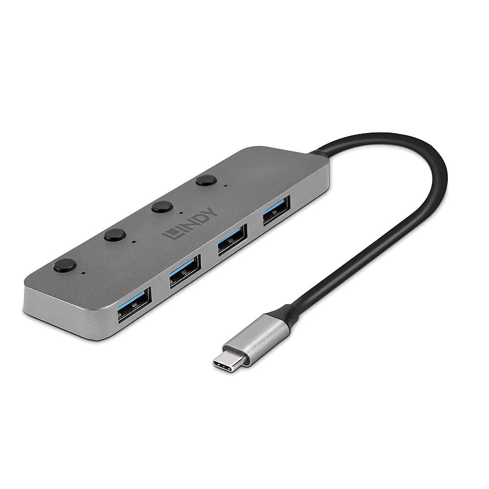 Lindy - Hub - Type-C, with on/off switches - 4 x USB 3.2 - Desktop