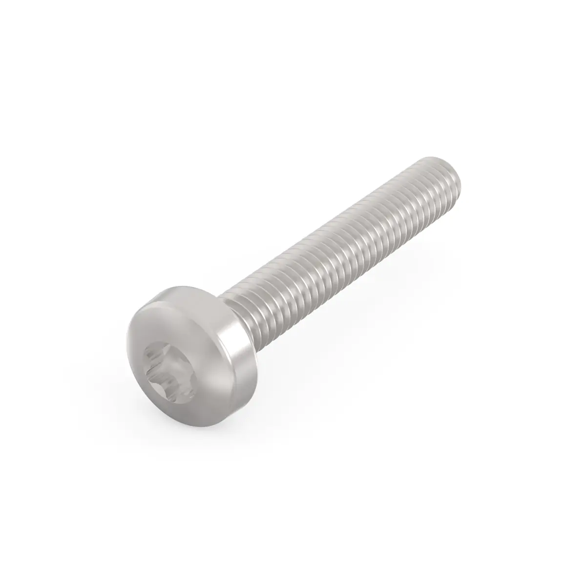 SCHROFF TORX-LINSKOSCHR 2.5X16 100S