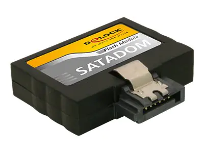 Delock Flash Modul - SSD - 128 GB - intern 54740