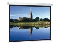 Projecta Compact RF Electrol Wide Format - Leinwand - Deckenmontage möglich, geeignet für