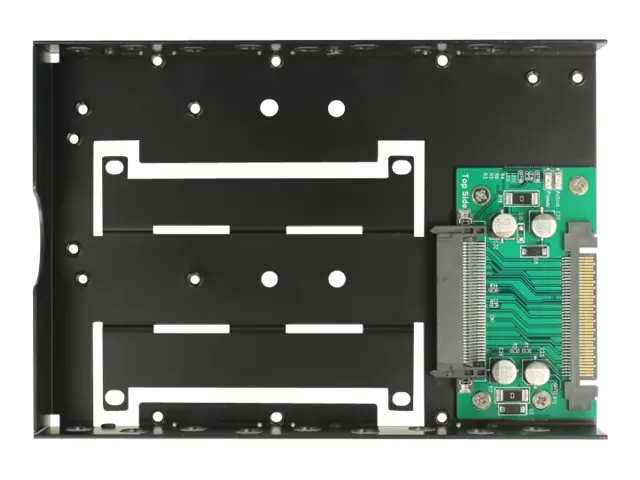 Delock - Laufwerksschachtadapter - 3,5" auf U.2 (8,9 cm auf U.2)