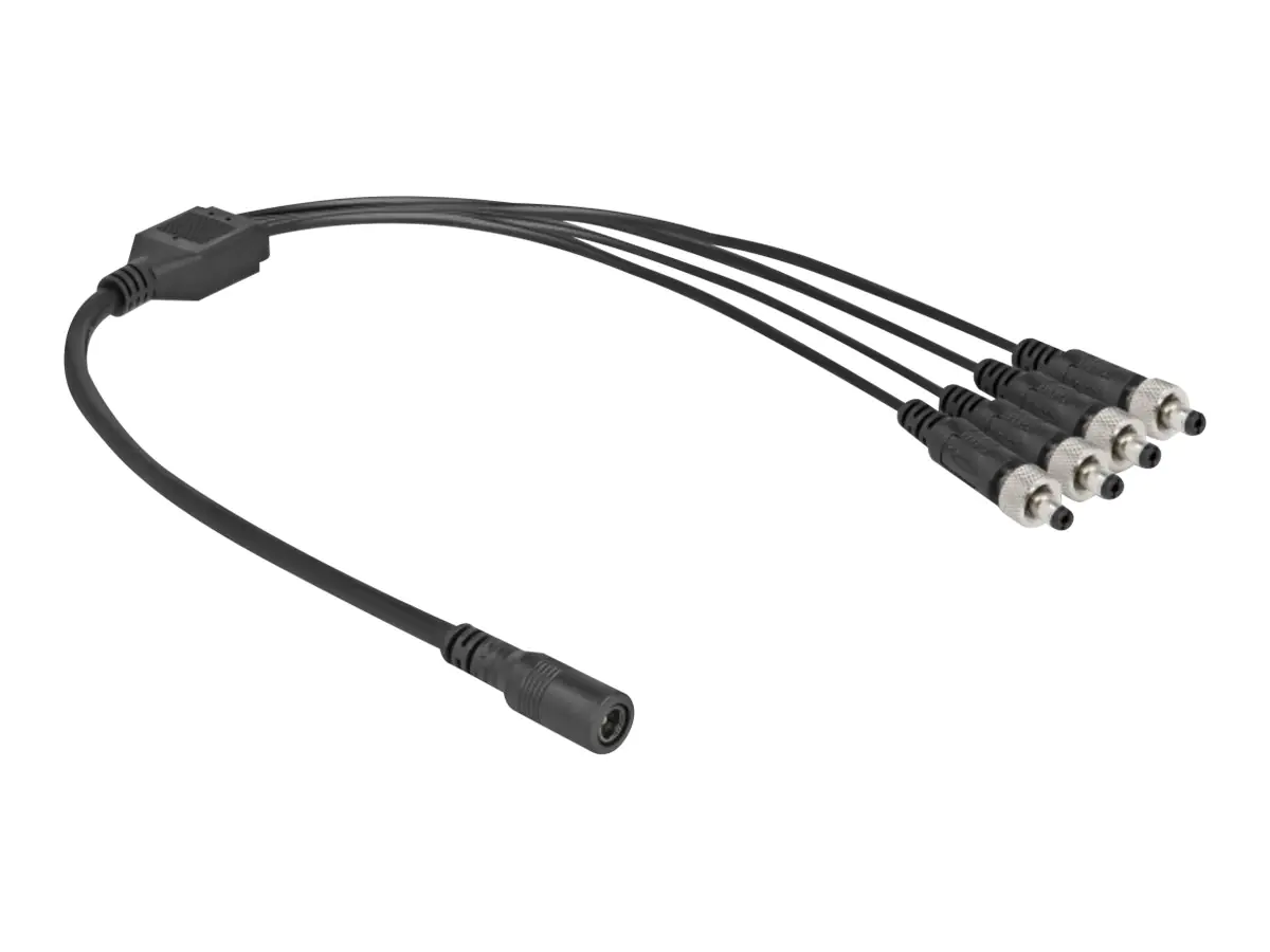 Delock Netz-Splitter - Gleichstromstecker 5,5 x 2,1 mm (W) 86588