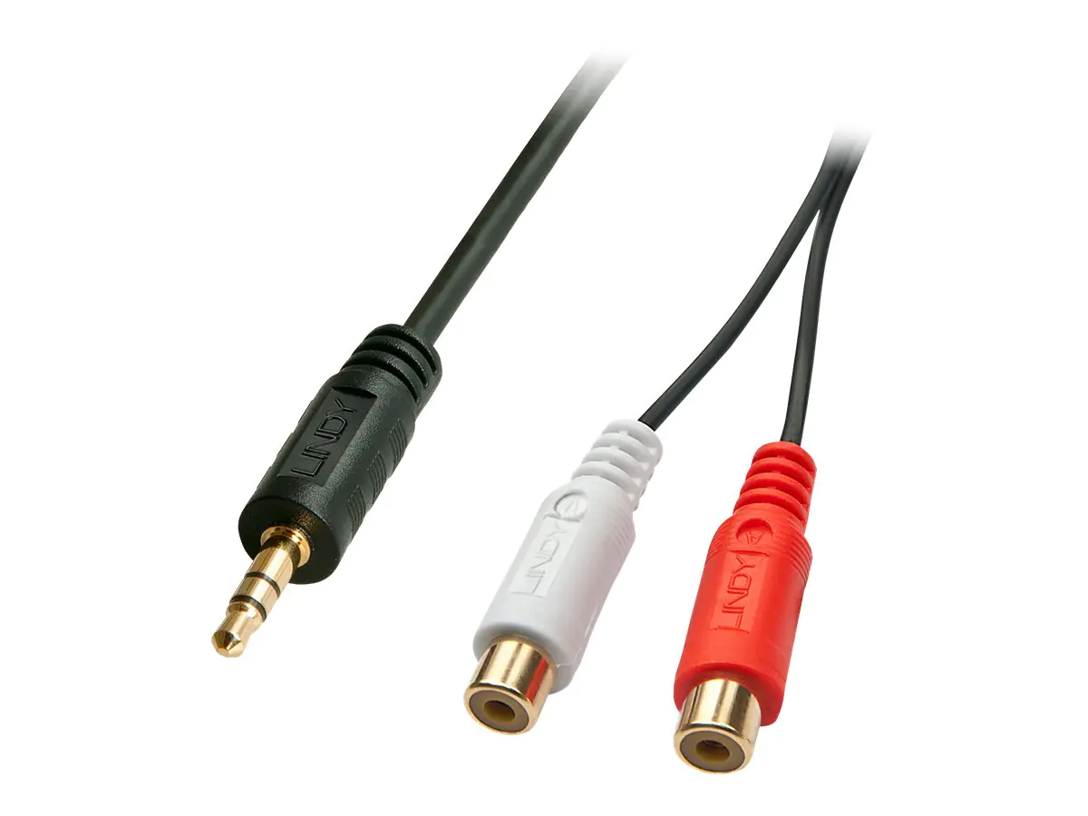 Lindy Premium - Audio-Adapter - 0.08 mm² - RCA x 2 (W) bis Stereo Mini-Klinkenstecker (M) - 25 cm - abgeschirmt - Schwarz