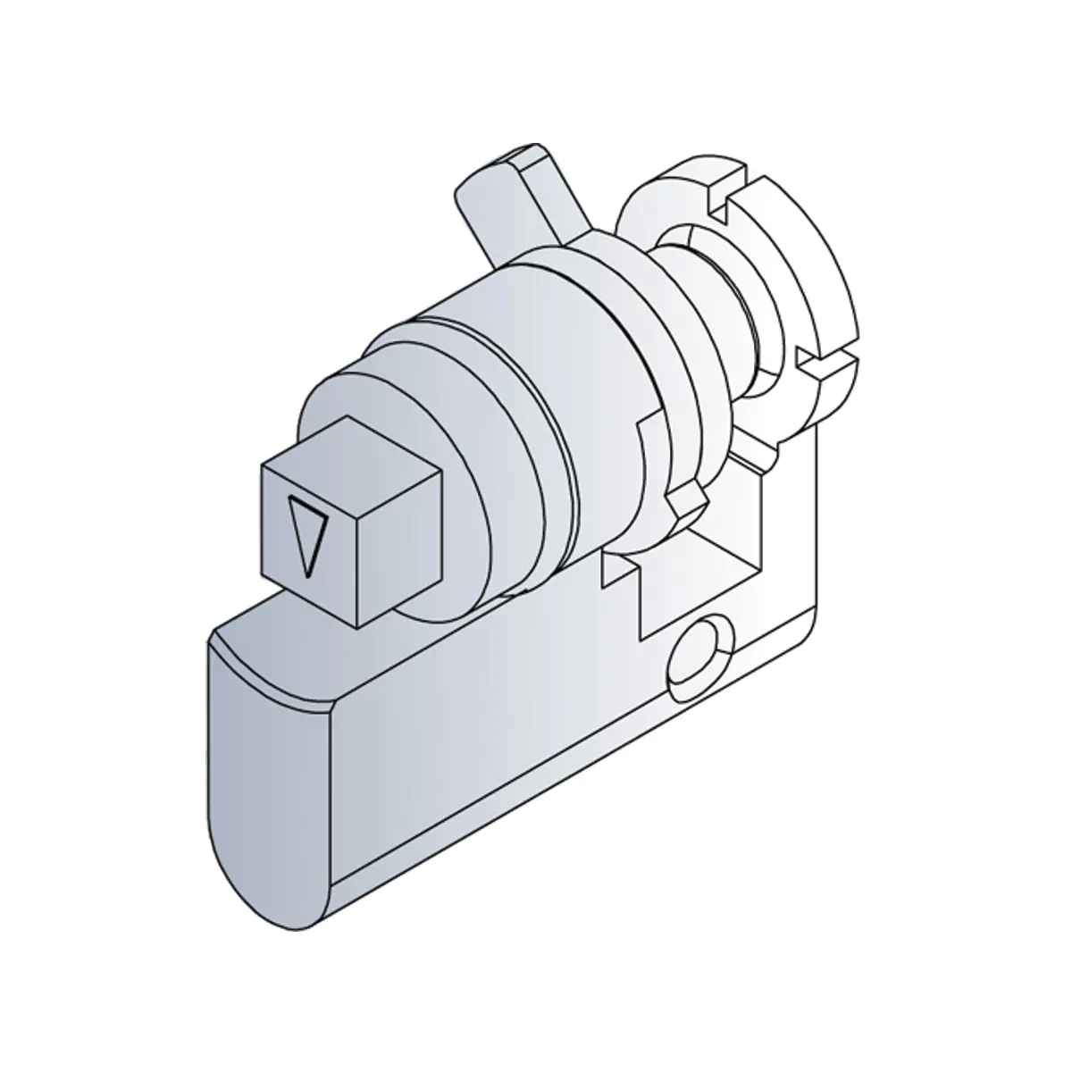 SCHROFF 27230063 19 Zoll Netzwerkschrank-Türzylinder