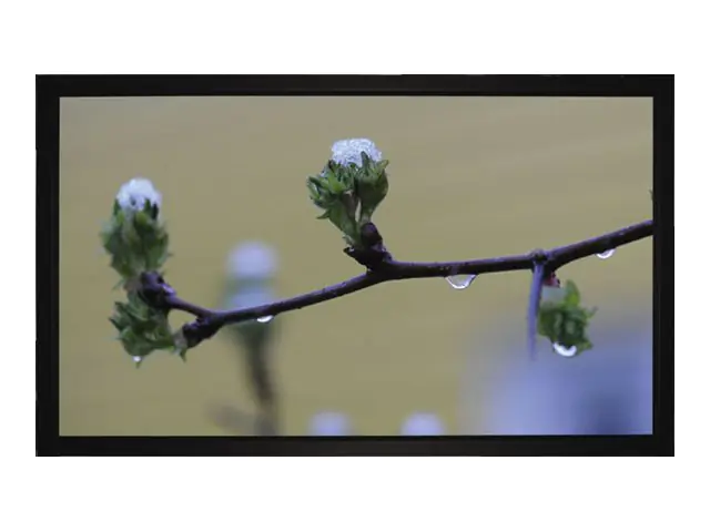 Medium Frame Budget type D - Leinwand - geeignet für Wandmontage - 283 cm (111")