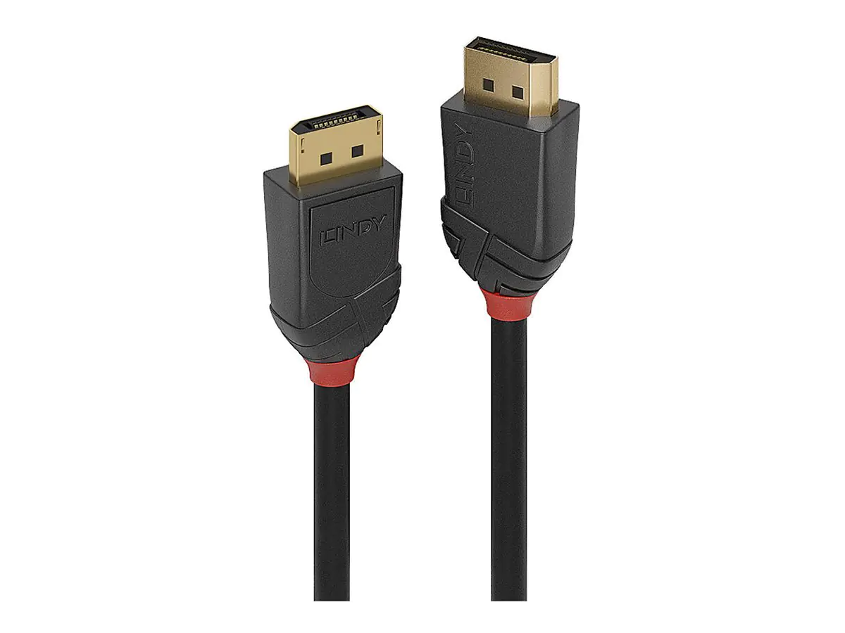 Lindy Black Line - DisplayPort-Kabel - DisplayPort (M)