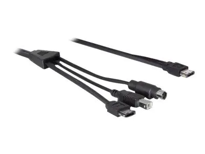 Delock Power Over eSATA cable - Power Over eSATA -Kabel - PS/2, USB Typ B, eSATA zu 11-poliger USB
