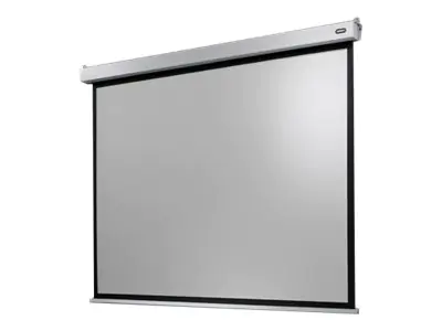celexon Electric Professional Plus Data format - Leinwand - Deckenmontage möglich, geeignet für