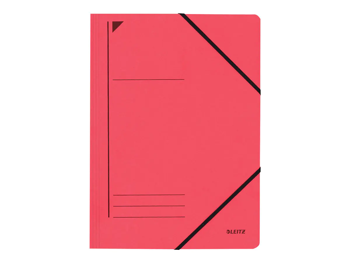 Esselte Leitz Ordner - für A4 (210 x 297 mm) - Kapazität: 39800025