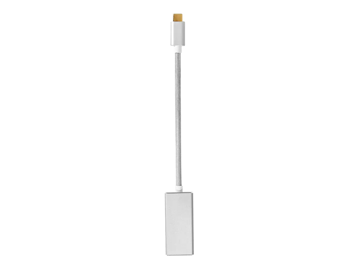 Nedis Fabritallic - USB / DisplayPort-Adapter - USB-C (M)