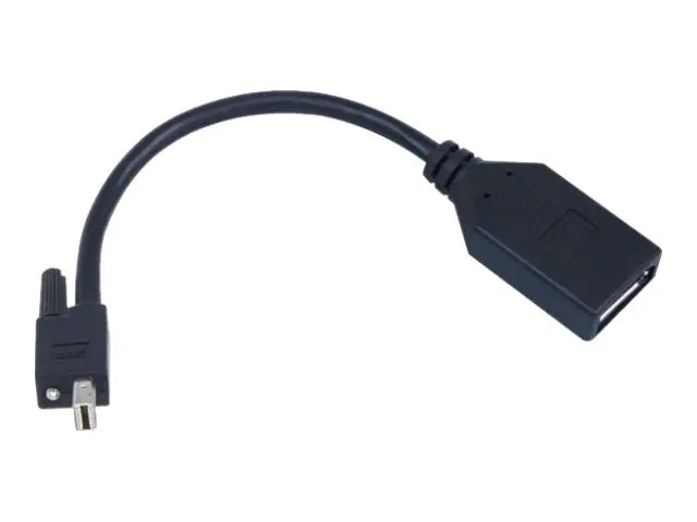 Matrox Display-Adapter CAB-MDP-DPF