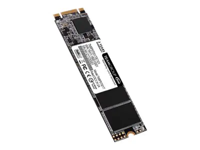 Team Group MS30 - SSD - 1 TB - intern - M.2 2280 - SATA 6Gb/s