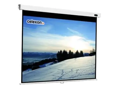 Celexon Professional manual - Leinwand - Deckenmontage möglich, geeignet für Wandmontage - 276 cm (109") - 1:1 - weiß