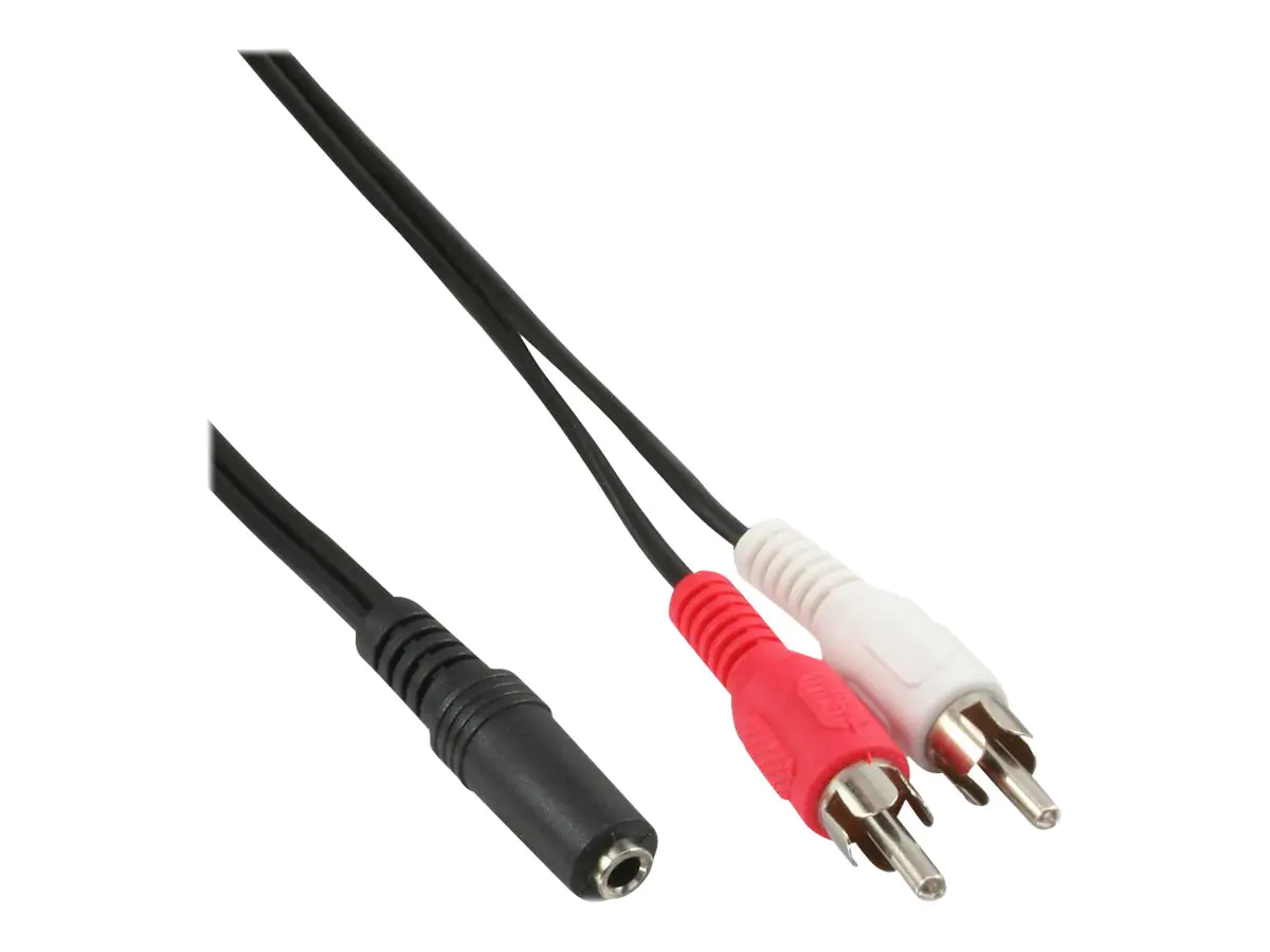 InLine - Audiokabel - RCA x 2 männlich zu mini-phone stereo 3.5 mm weiblich - 3 m - abgeschirmt - Schwarz
