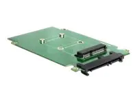 Delock Converter SATA 22 pin > mSATA - Speicher-Controller - mSATA - SATA 3Gb/s - SATA 3Gb/s