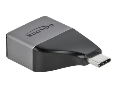 Delock - Videoadapter - 24 pin USB-C männlich zu HD-15 (VGA) weiblich - Grau