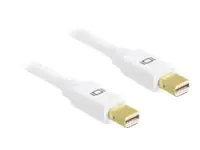 Delock - DisplayPort-Kabel - Mini DisplayPort (M) zu Mini DisplayPort (M) - 2 m - weiß