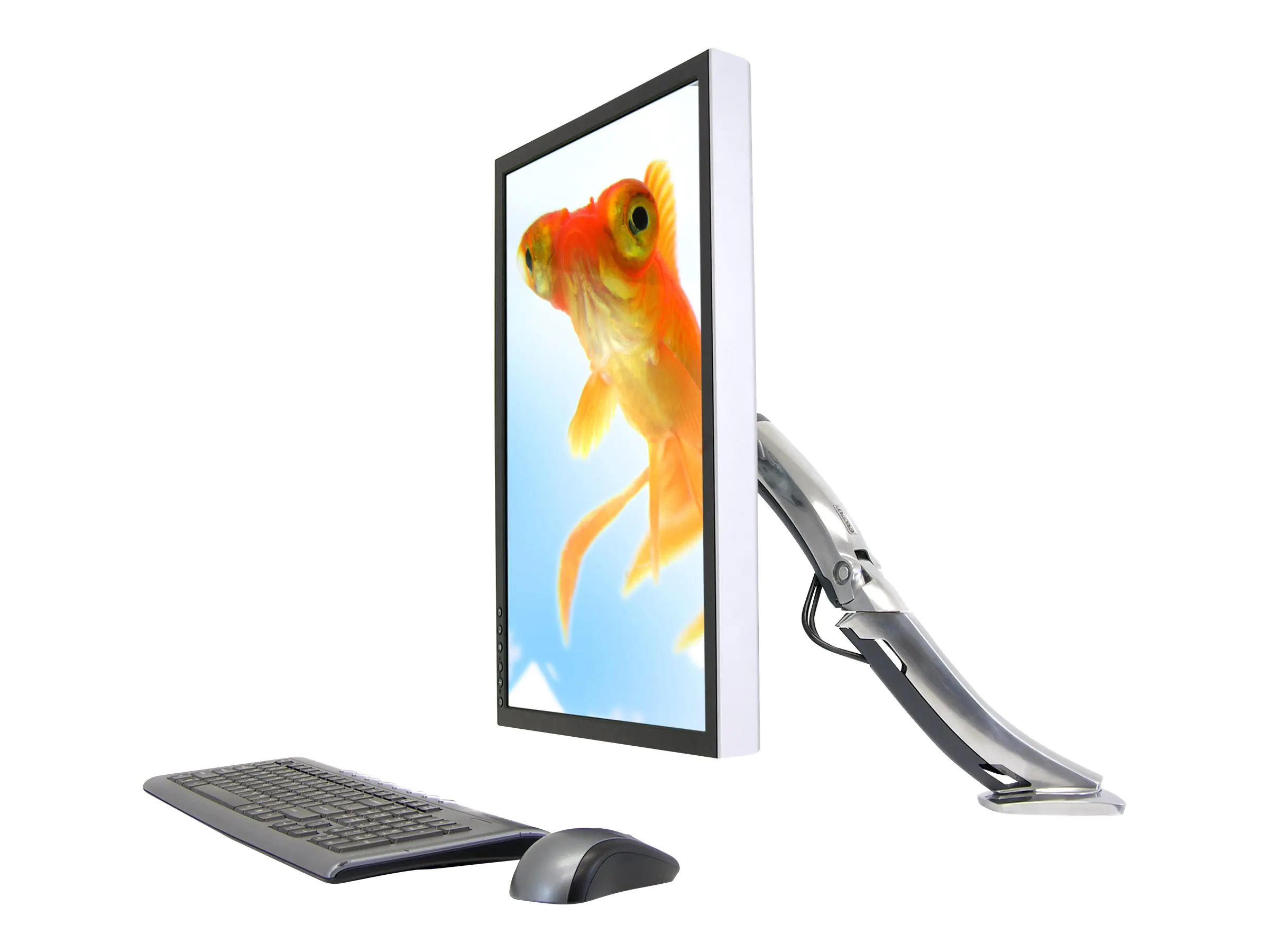Ergotron MX - Befestigungskit (Gelenkarm, Spannbefestigung für Tisch, Tischplattenbohrung, Basis, Verlängerung) - Konstante Krafttechnologie - für LCD-Display - Polished Aluminum - Bildschirmgröße: bis zu 76,2 cm (bis zu 30 Zoll) 45-214-026