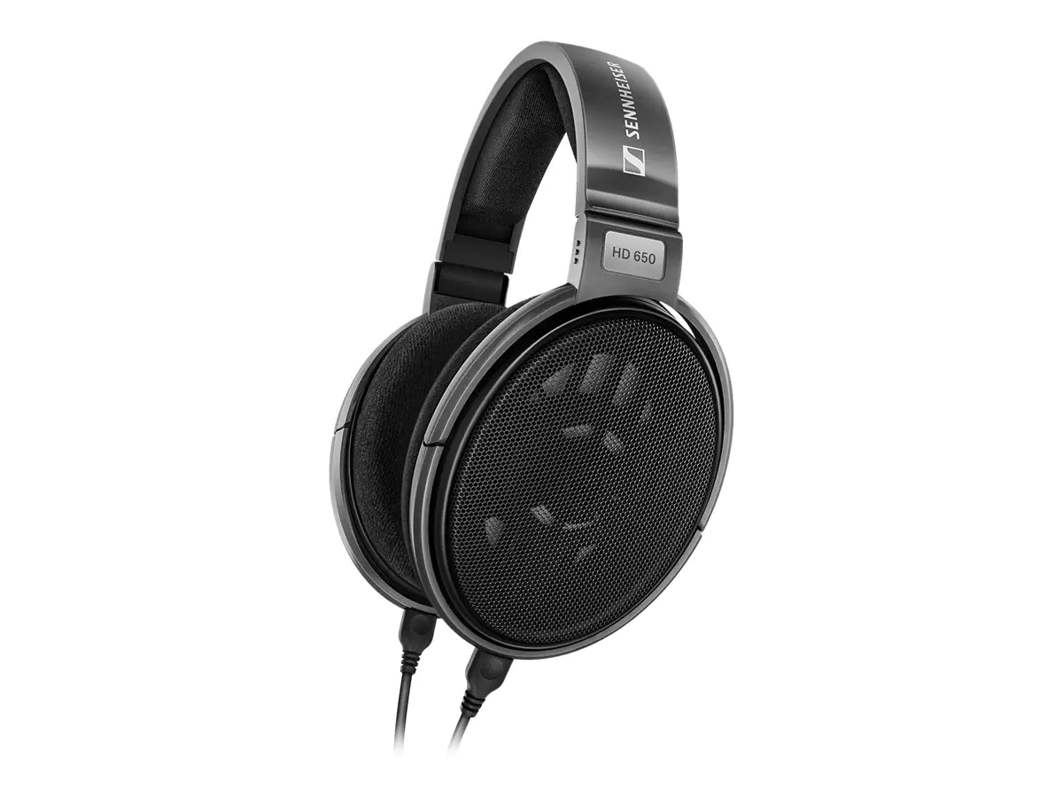 Sennheiser HD 650 - Kopfhörer - ohrumschließend 508825