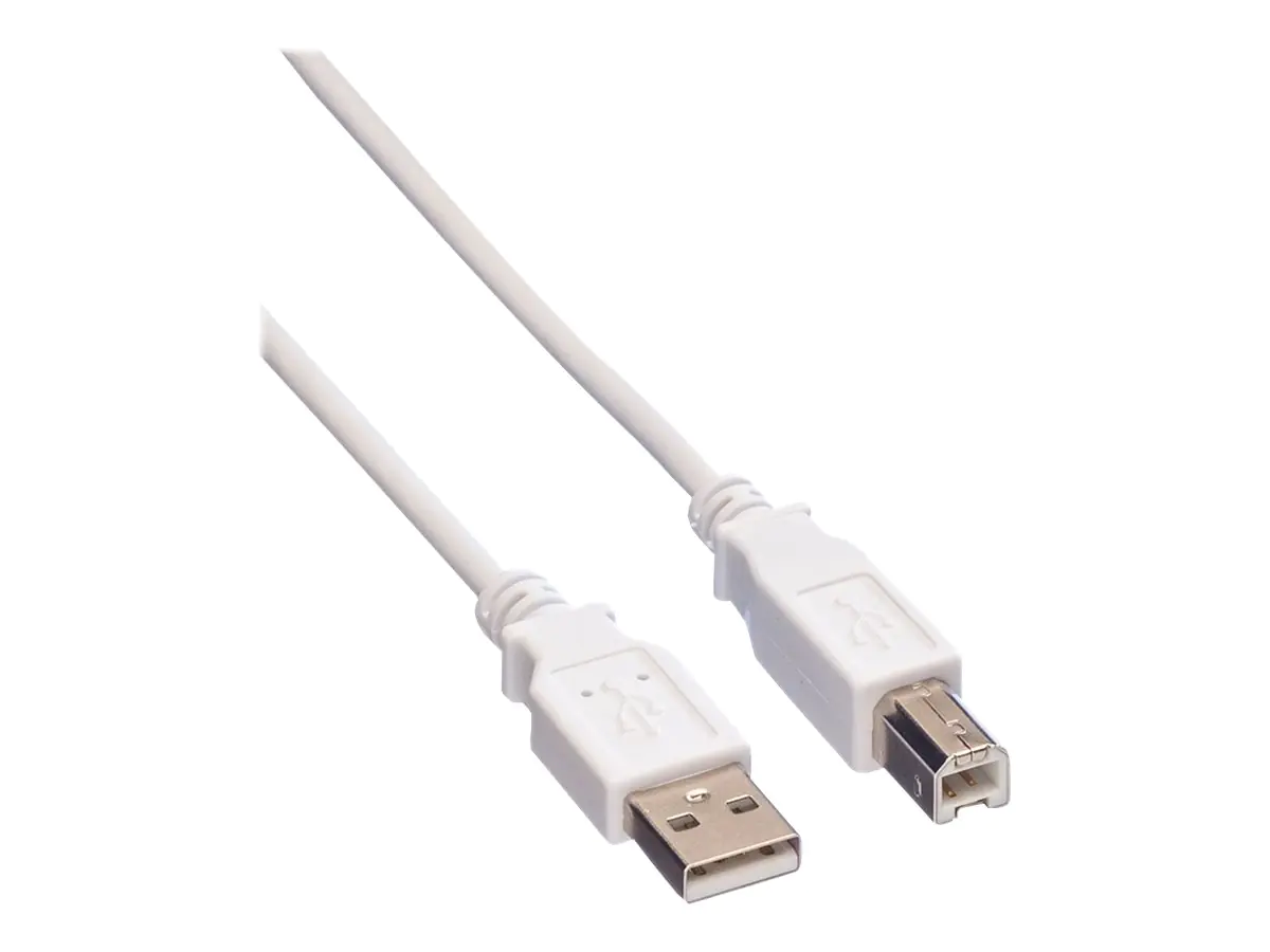 VALUE USB-Kabel - USB (M) zu USB Typ B (M) 11.99.8831