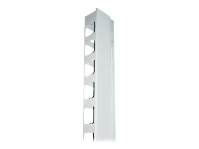 Intellinet 19" Wall Mount Rails, 9U, Black, 2-pack - Kabelführungsplatte für Schaltschrank - Grau, RAL 7035 - 39U - 48.3 cm (19") (Packung mit 2)