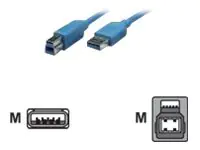 Techly SuperSpeed USB Device Cable - USB-Kabel - USB Typ A (M)