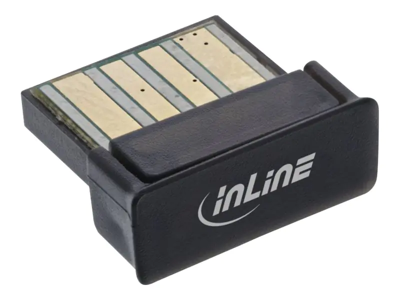InLine - Netzwerkadapter - USB - Bluetooth 5.0 - Schwarz